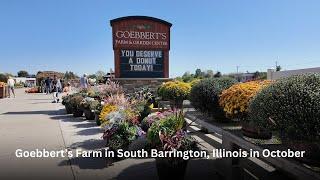 Travel: Goebbert's Farm has Fall Activities in Illinois