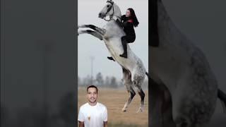 Horse  lover status only ️ Girls horse riding #whatsappstatus #horseriding #animals #youtubeshorts