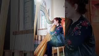 Fields of Gold - Harp cover #shorts #fieldsofgold #harpcover #popmusic #harp #weddingmusic