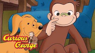 Curious George  George and Hundley's New Friends  Kids Cartoon   Kids Movies  Videos for Kids