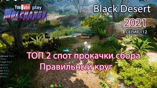 Сбор травы ТОП 2. Black Desert Фарм серебра 2021. Лучница.