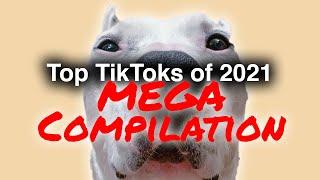(Official) MisterMainer MEGA COMPILATION | Top TikToks of 2021