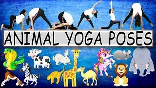 Animal Yoga Poses | Animal Yoga for Kids | YOGA for Kids I Yoga Classes for kids | Kids Yoga | Yoga