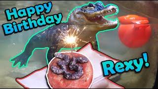 Celebrating our Alligator's 35th Birthday!