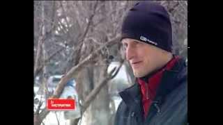 Инструктаж по кормежке птиц - TV Губерния