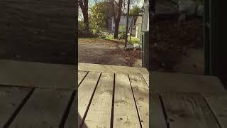 Sleep - Bailey Jones (ukulele version)