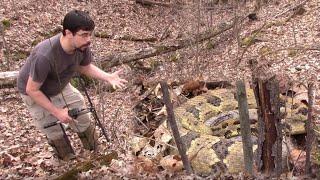 The Search for an Ohio Timber Rattlesnake