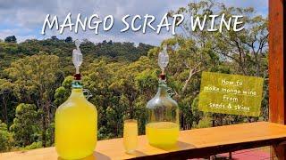 Making MANGO SCRAP WINE from Mango Seeds and Skins |FULL PROCESS Making, Fermenting, Racking & Aging