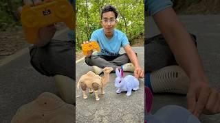 Rc Rabbit and Rc Camel Toys Unboxing