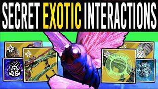 Destiny 2: NEW EXOTIC SECRETS! Hidden INTERACTIONS in Season 22! (Exotic Perk Combo's)