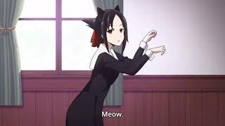 Kaguya wear cat ears