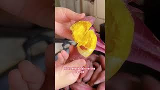 Formula to increase sweet potato yield #garden #gardening101 #planting #sweetpotato #gardening