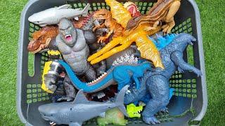 Toy Review Godzilla, kong, mechagodzilla, ghidorah, trex, shark, robot, monster