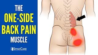 The One-Side Lower Back Pain Muscle (How to Release It for INSTANT RELIEF)