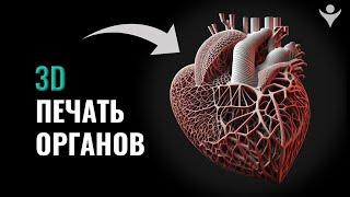 Черный рынок человеческих органов. 3Д-печать органов человека - реальность сегодняшнего дня