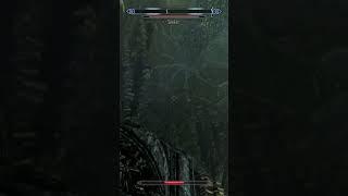 Well That Was A Pretty Dumb Way To Fail  #shorts #skyrim #gaming