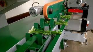 Bercomex Flora Optima Flowerline processing Ranunculus