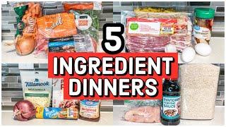 5 INGREDIENT MEALS | Quick and Easy Dinner Recipes