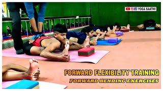 Forward Flexibility Training/Forward And Leg Muscles Exercises/Hamstring Muscles Opening Practices