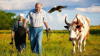 Happy old age of an elderly couple in a village cast far from civilization