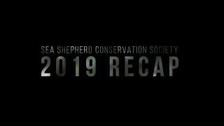 Sea Shepherd Conservation Society 2019 End of Year Recap