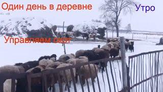 Один день из жизни в деревне\управляюсь \