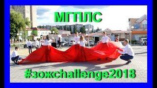 МГПЛС #зожchallenge2018 "Мы за жизнь!"