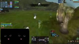 Archeage. Ария. Как НЕ нужно играть за тактика.