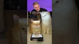 Try Not To Laugh  634 #funny  #viralvideo #shorts