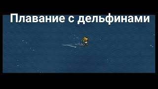 Плавание с дельфинами H.M.P Offshore - The escapists 2