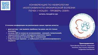 Конференция по нефрологии «Коллоквиум по хронической болезни почек у кошек – проверь себя!»