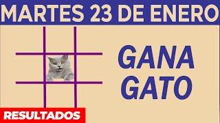 Sorteo Gana Gato del Martes 23 de Enero del 2024.