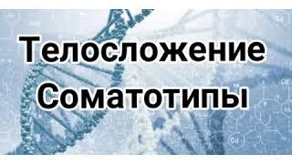 Телосложение. Соматотипы. Эктоморф, эндоморф, мезоморф. Типы телосложений человека. Примеры