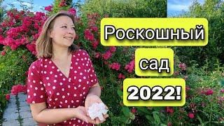 Цветущий сад в июле 2022 | Сказочный сад по Вашим заявкам | Что цветет в июле