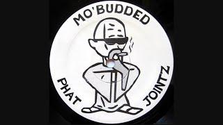 VA - Mo' Budded Phat Jointz (1996)