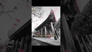 A little bit of silence.  A traditional wooden house made by GoGiang. #shorts