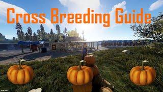 Rust | Cross Breeding Guide