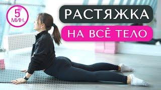 ПРОСТАЯ РАСТЯЖКА НА ВСЕ ТЕЛО ЗА 5 МИНУТ! СДЕЛАЕТ ЛЮБОЙ! Ежедневная разминка за 5 минут