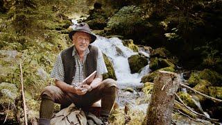 Naturraum Wald - Ferienregion Nationalpark Hohe Tauern