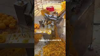 Automatic persimmon knife peeling machine