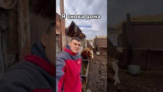 Я СНОВА ДОМА ️ПОДГОТОВКА К ЗИМЕ В ДЕРЕВНЕ  #юмор #fishing
