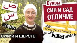 Буквы син и сад – отличие. Меч Египетского принца. 4 сезона по арабски. Суфии и шерсть.