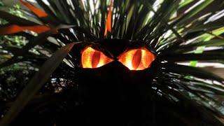 DIY Halloween Yard Decorations - Giant Glowing Monster Eyes | Dark Nook