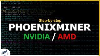 Phoenixminer Step-by-step Guide | Mining Software