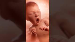 ТЫ УСПЕЕШЬ За Свою Жизнь Сделать ЭТИ ВЕЩИ #shorts