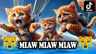 Miaw miaw miaw miaw Song sad cat story tiktok FULL.. #cat #aicat #catlover #cats #catsong #aiimages