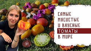 САМЫЕ МЯСИСТЫЕ И ВКУСНЫЕ ТОМАТЫ В МИРЕ