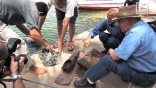 Underwater Archaeology: Excavating the Nile with Dr Hawass