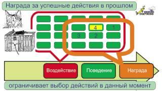 Дрессировка собак, теория дрессировки, опыты Торндайка