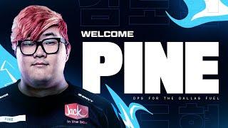 Welcome Pine!